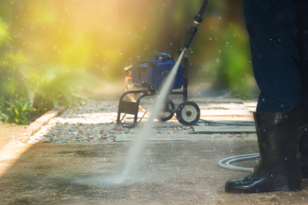 Best Sidewalk and Walkway Cleaning  in Belleville, WI